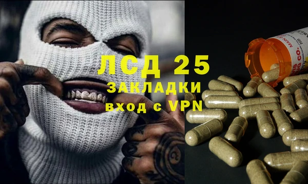 мяу мяу мука Белокуриха