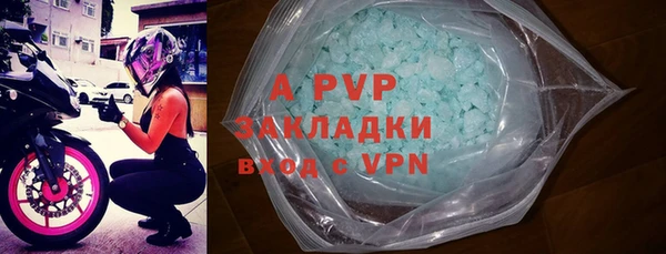 сатива Козельск