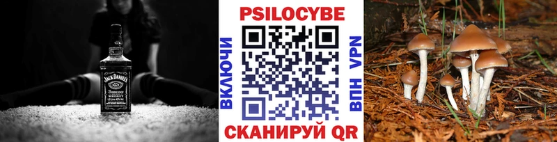 MEGA рабочий сайт  Ефремов  Псилоцибиновые грибы мухоморы 